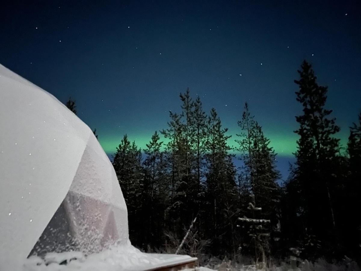 Aurora Igloo Fireplace-Heated Tents In A Secret Forest With Private Jacuzzi And Shared Sauna Bathroom And Dog Friendly ロヴァニエミ エクステリア 写真