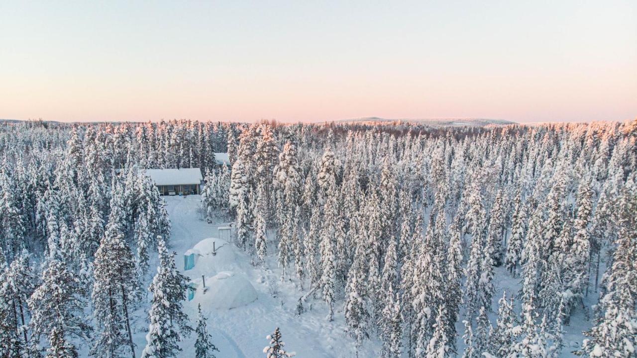 Aurora Igloo Fireplace-Heated Tents In A Secret Forest With Private Jacuzzi And Shared Sauna Bathroom And Dog Friendly ロヴァニエミ エクステリア 写真