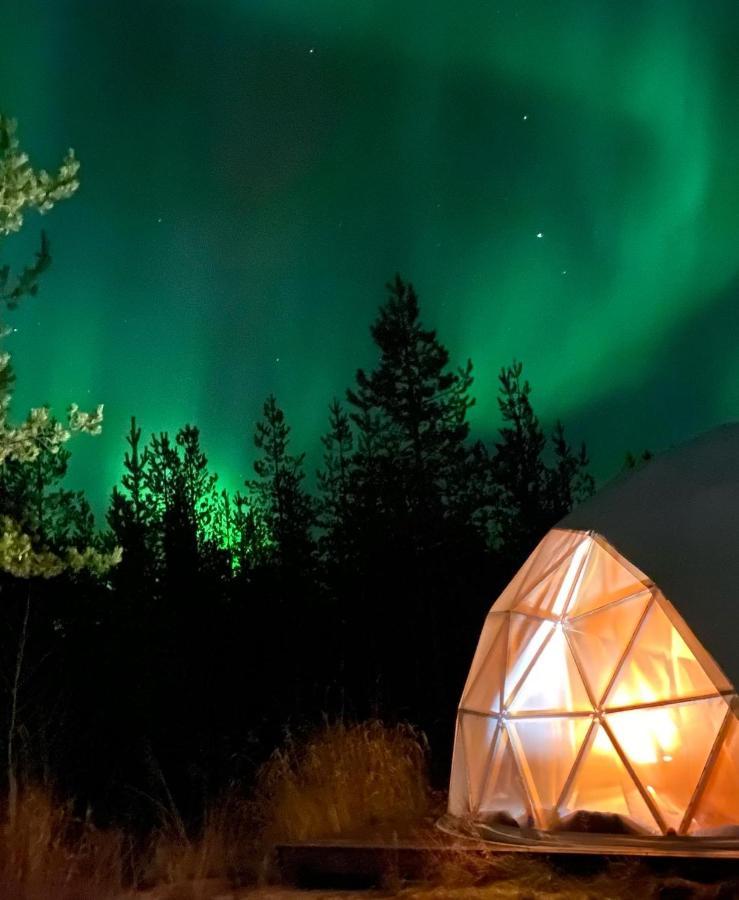 Aurora Igloo Fireplace-Heated Tents In A Secret Forest With Private Jacuzzi And Shared Sauna Bathroom And Dog Friendly ロヴァニエミ エクステリア 写真