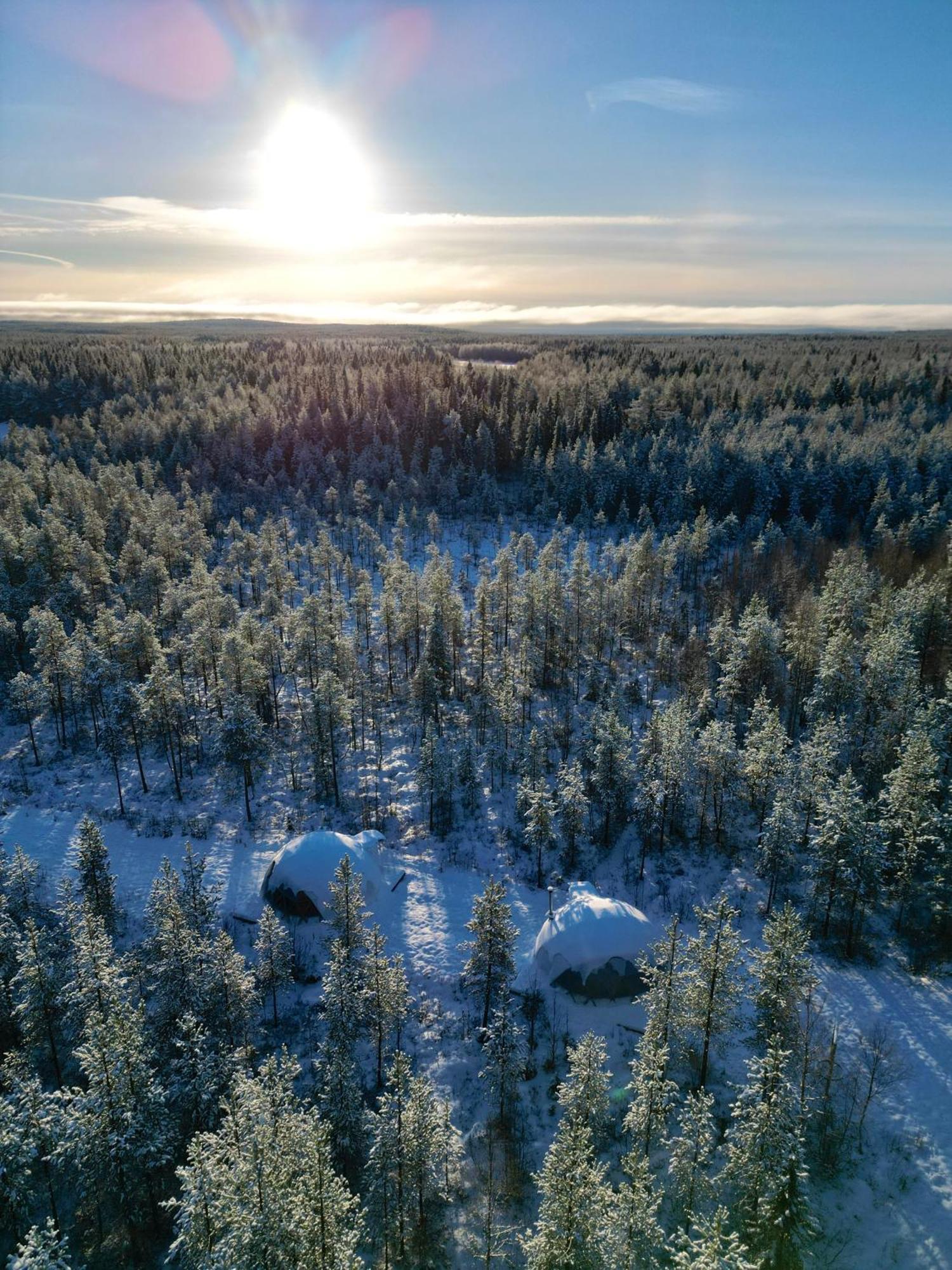 Aurora Igloo Fireplace-Heated Tents In A Secret Forest With Private Jacuzzi And Shared Sauna Bathroom And Dog Friendly ロヴァニエミ エクステリア 写真