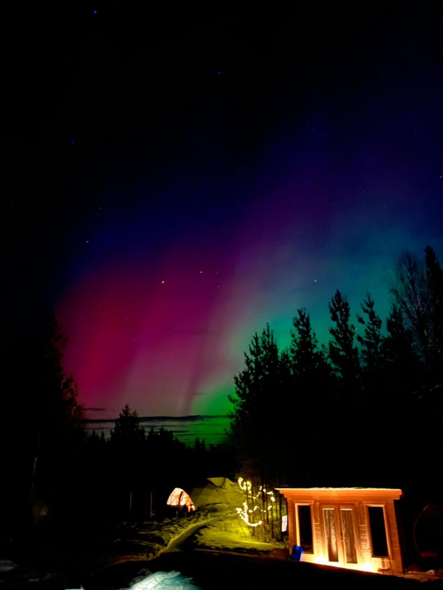 Aurora Igloo Fireplace-Heated Tents In A Secret Forest With Private Jacuzzi And Shared Sauna Bathroom And Dog Friendly ロヴァニエミ エクステリア 写真