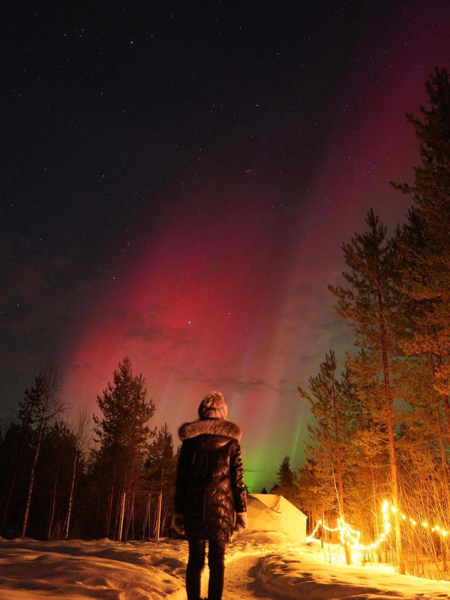Aurora Igloo Fireplace-Heated Tents In A Secret Forest With Private Jacuzzi And Shared Sauna Bathroom And Dog Friendly ロヴァニエミ エクステリア 写真